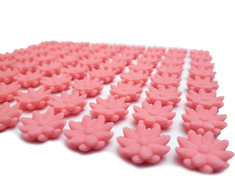 Nectar Tokens compatible with Wingspan™: Oceania Expansion™ (set of 69)