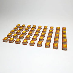 Wyrmspan Training Tokens (set of 45)