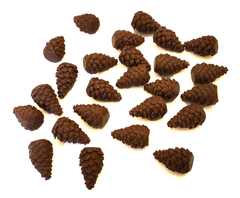 Pinecone Tokens compatible with Cascadia™ (set of 25)