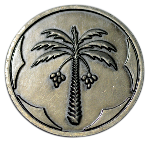 Arabian Silver Coin (set of 10)